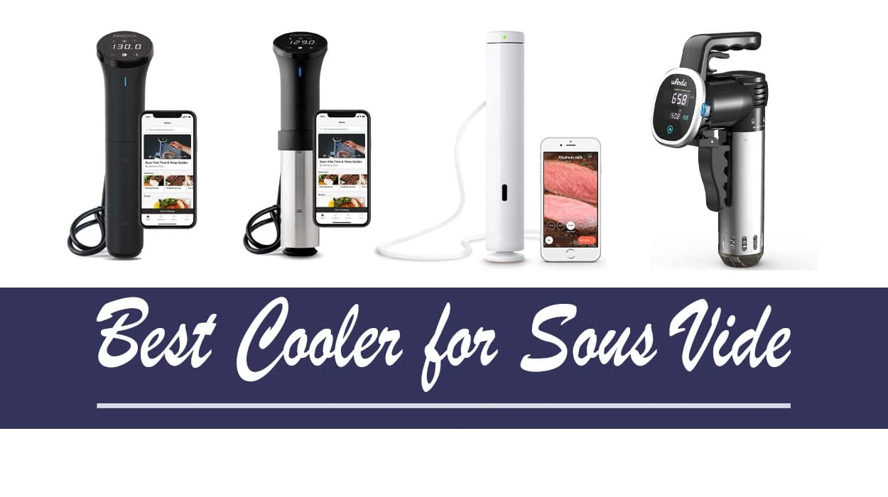 Best Cooler for Sous Vide