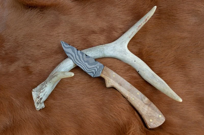 Best Deer Gutting Knife Reviews