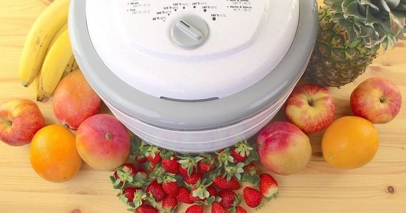 Best Food Dehydrators : Reviews and Buying Guide 2023