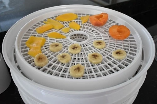 Best Food Dehydrator