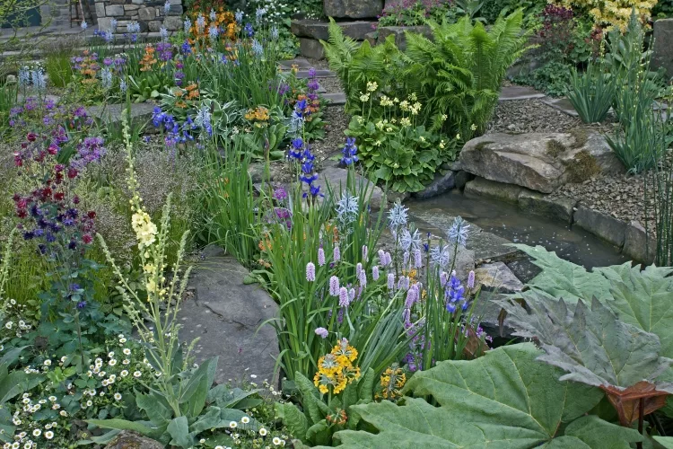 How to Build a Rain Garden