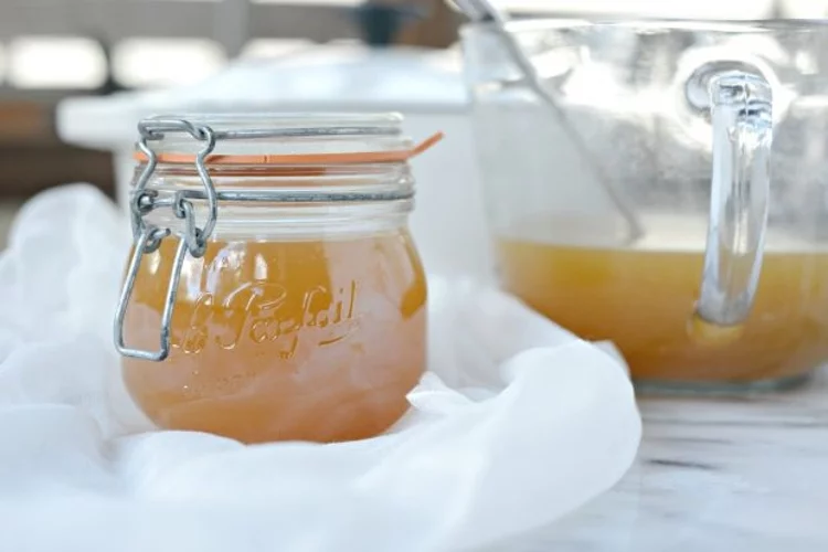 Are Shrimp Shells Helpful for Garden and Fertilizer?