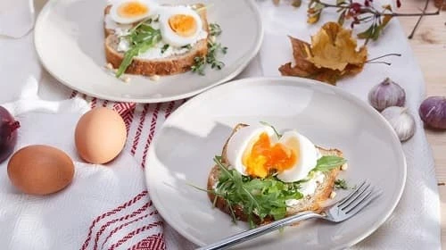 How Food Poisoning Affects The Way You Digest Food