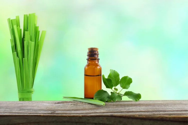 Substitute for Lemongrass