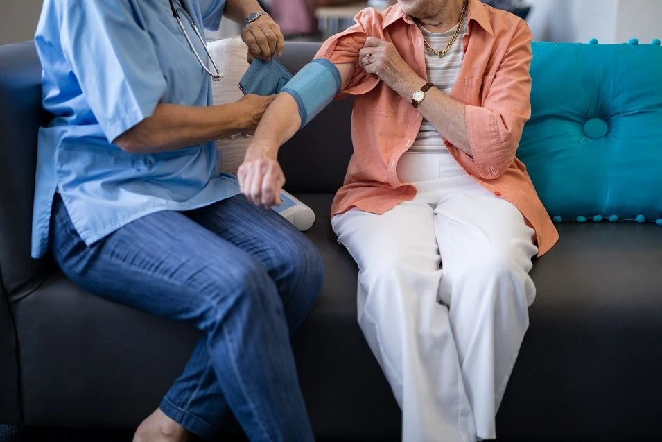 How Probiotics Can Help Lower Your Blood Pressure