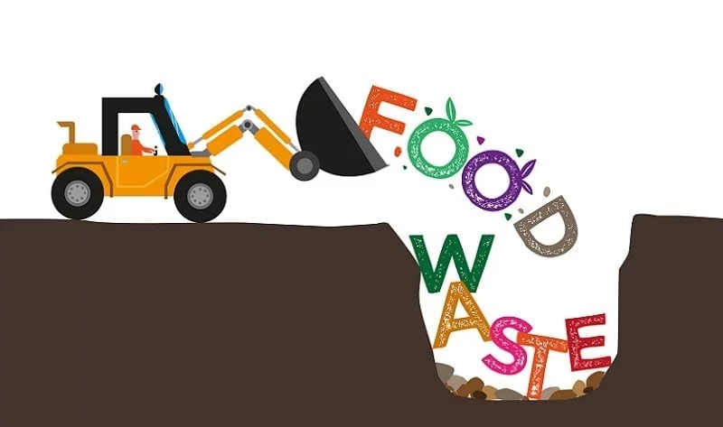 Fast Facts Uncovering The Global Food Scandal