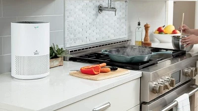 Gas Air Purifier Buying Guide