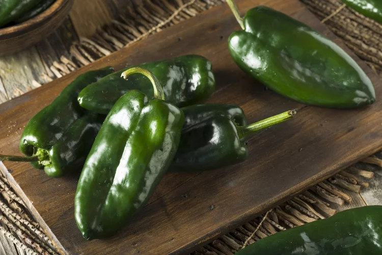 What is Poblano Pepper?