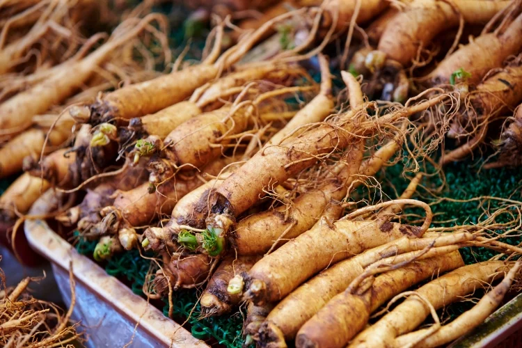 What is Ginseng?
